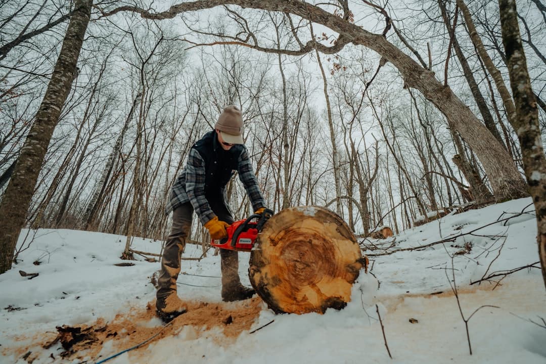 Person kapar en stam med motorsåg i vinterskog.