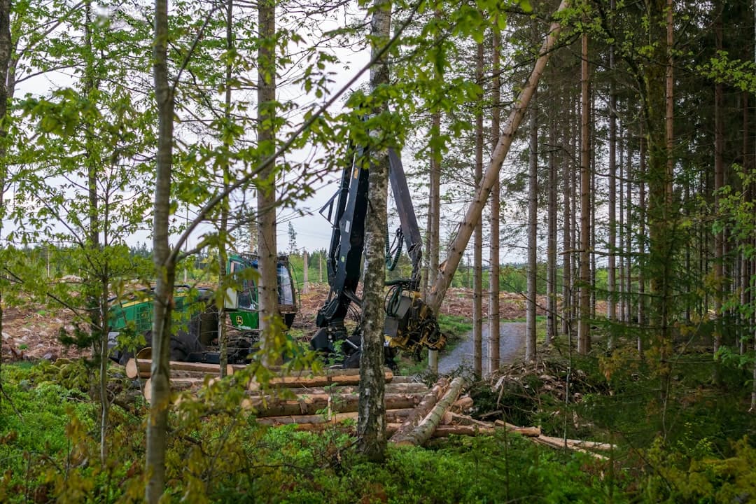 Skogsmaskin arbetar bland tallar — utrustning som även används i vinterunderhåll.