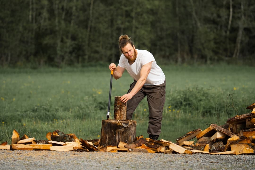Vedklyvning vid skogsbrynet en sommardag.